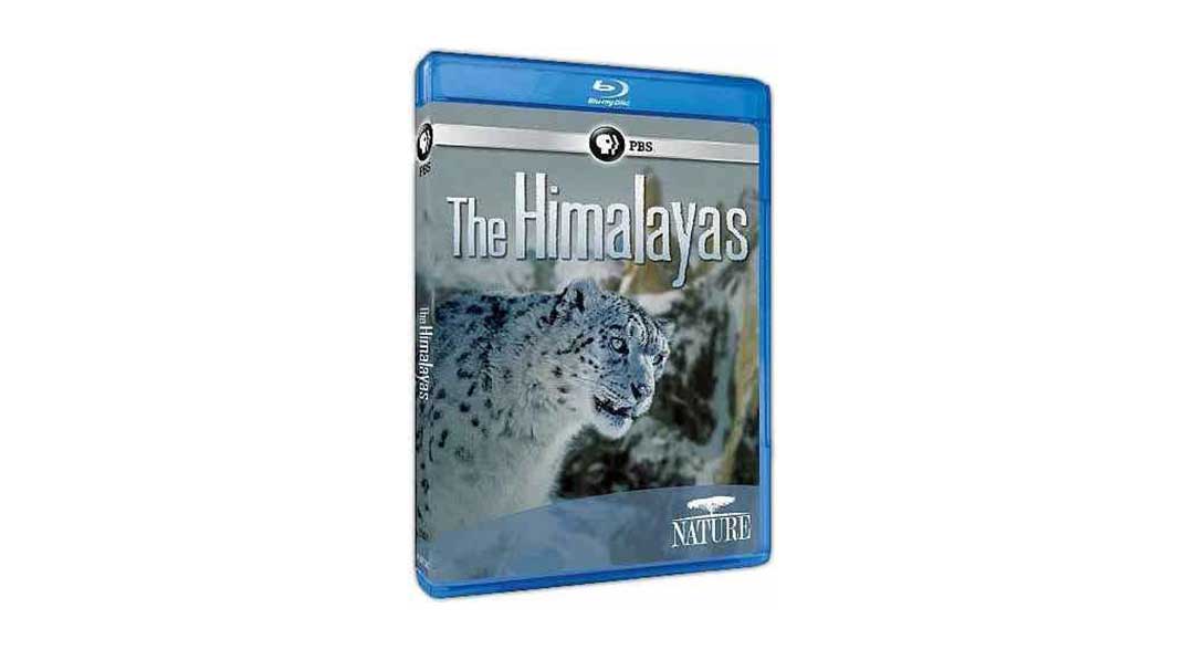 The Himalayas